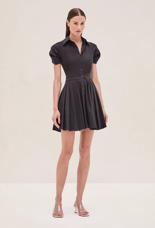 Alexis April Dress